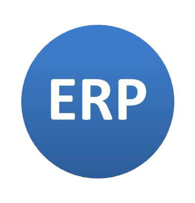 Developing ERP Systems